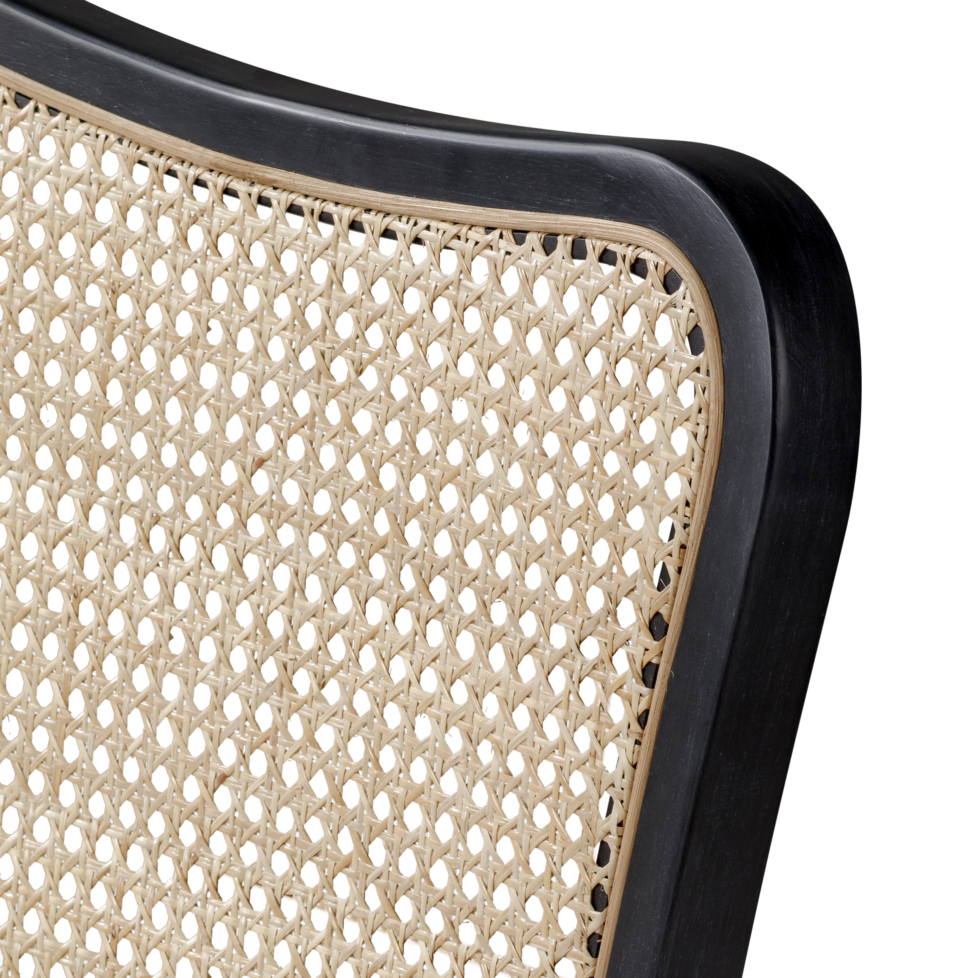 Vera Dining Chair in Black Finish with Light Grey Fabric Upholstery, Set of 2 in Dining Chair by Maven Lane