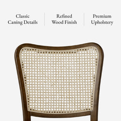 Vera Dining Chair in Brown Finish and Brown Canvas Fabric Upholstery, Set of 2 in Dining Chair by Maven Lane