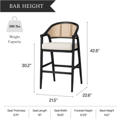 Chloe Bar Stool in Black Finish with Beige Fabric Upholstery and Natural Rattan Back in Stools by Maven Lane