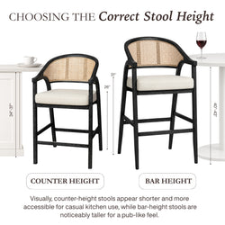 Chloe Bar Stool in Black Finish with Beige Fabric Upholstery and Natural Rattan Back in Stools by Maven Lane