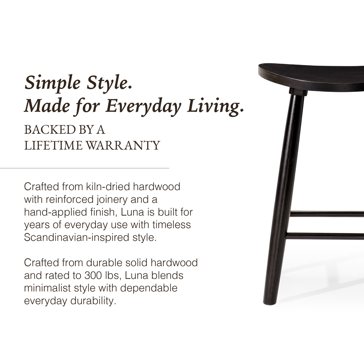 Luna Counter Stool in Black Finish in Stools by Maven Lane