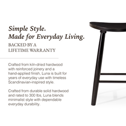 Luna Counter Stool in Black Finish in Stools by Maven Lane