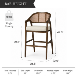 Chloe Bar Stool in Brown Finish with Beige Fabric Upholstery and Honey Rattan Back in Stools by Maven Lane