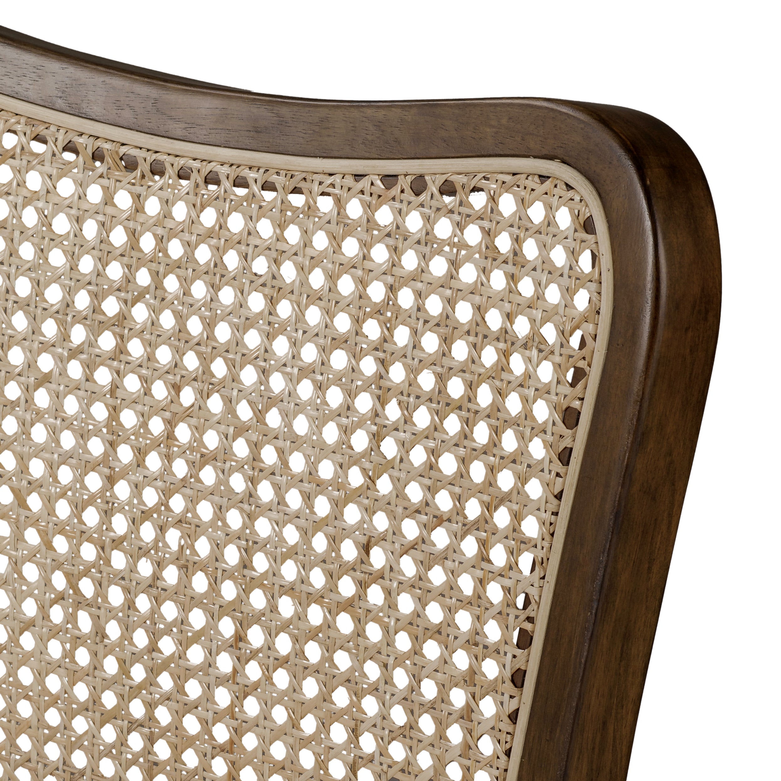 Vera Dining Chair in Aged Brown with Clay Canvas Fabric, Set of 2 in Dining Chair by Maven Lane