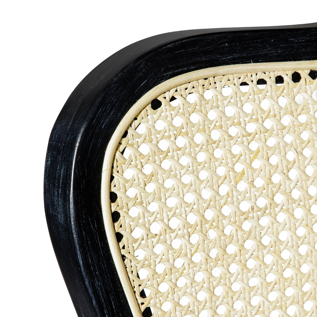 Vera Counter Stool in Black Finish with White Fabric Upholstery in Stools by Maven Lane