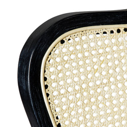 Vera Counter Stool in Black Finish with White Fabric Upholstery in Stools by Maven Lane