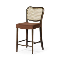 Vera Counter Stool in Brown Finish and Brown Fabric Upholstery in Stools by Maven Lane