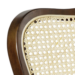 Vera Counter Stool in Brown Finish and Brown Fabric Upholstery in Stools by Maven Lane